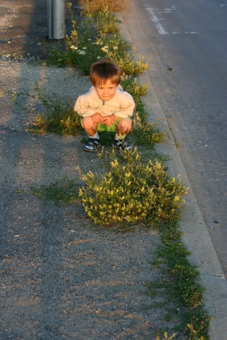 krai-shoseto.vladislavovo