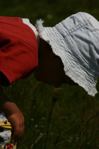 mirishe-cveteto.ravnogor