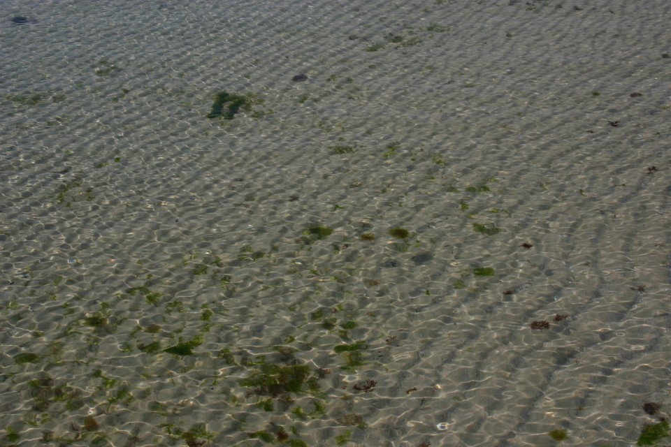 вълнисто морско дъно | waving seabed