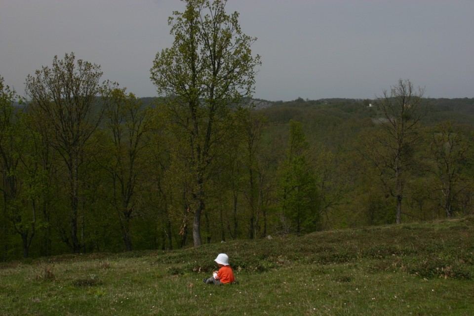 седнал на поляната | sitting on a meadow 