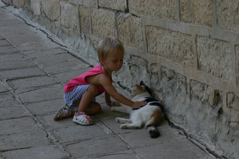 мац пис пис 2008 | meeow 2008